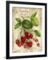 Raspberry-Kate Ward Thacker-Framed Giclee Print