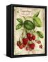 Raspberry-Kate Ward Thacker-Framed Stretched Canvas
