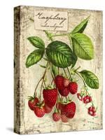 Raspberry-Kate Ward Thacker-Stretched Canvas