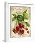 Raspberry-Kate Ward Thacker-Framed Giclee Print