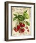 Raspberry-Kate Ward Thacker-Framed Giclee Print