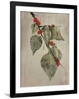 Raspberry-Kari Taylor-Framed Giclee Print