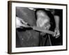 Rasping a Hoof-null-Framed Photographic Print