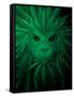 Rasta Lion Illusion-JJ Brando-Framed Stretched Canvas