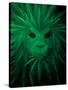 Rasta Lion Illusion-JJ Brando-Stretched Canvas