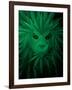 Rasta Lion Illusion-JJ Brando-Framed Art Print