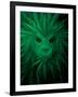 Rasta Lion Illusion-JJ Brando-Framed Art Print