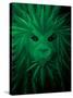 Rasta Lion Illusion-JJ Brando-Stretched Canvas