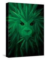 Rasta Lion Illusion-JJ Brando-Stretched Canvas