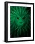 Rasta Lion Illusion-JJ Brando-Framed Art Print