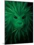 Rasta Lion Illusion-JJ Brando-Mounted Art Print