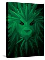 Rasta Lion Illusion-JJ Brando-Stretched Canvas