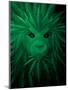 Rasta Lion Illusion-JJ Brando-Mounted Art Print