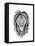 Rasta Lion-Nicky Kumar-Framed Stretched Canvas