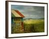 Rastafarian Museum, Barbados, Caribbean-Walter Bibikow-Framed Photographic Print