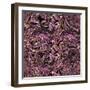 Raster Seamless Texture-Alexandra Khrobostova-Framed Photographic Print