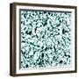 Raster Seamless Texture-Alexandra Khrobostova-Framed Photographic Print