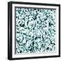 Raster Seamless Texture-Alexandra Khrobostova-Framed Photographic Print