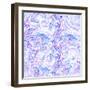 Raster Seamless Texture-Alexandra Khrobostova-Framed Photographic Print