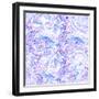 Raster Seamless Texture-Alexandra Khrobostova-Framed Photographic Print