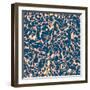 Raster Seamless Texture-Alexandra Khrobostova-Framed Photographic Print