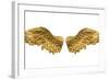 Raster Version of Golden Wings-Gilmanshin-Framed Art Print