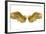 Raster Version of Golden Wings-Gilmanshin-Framed Art Print