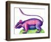 Rat, 1996-Jane Tattersfield-Framed Giclee Print