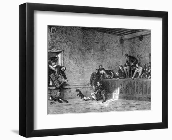 Rat Fighting, Recreation of Louis XI of France, 1461-1483-Charles Comte-Framed Giclee Print