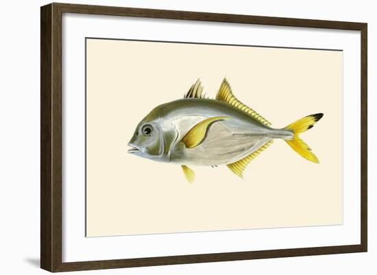 Rat - Goroo-Parawah-John Whitchurch Bennett-Framed Art Print