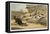 Rat Hunting, 1823-null-Framed Stretched Canvas