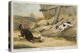 Rat Hunting, 1823-null-Stretched Canvas