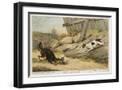 Black Frame