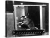 Rat in Skinner box-Science Source-Stretched Canvas