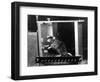 Rat in Skinner box-Science Source-Framed Giclee Print