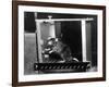 Rat in Skinner box-Science Source-Framed Giclee Print