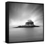Rat Island 2-Moises Levy-Framed Stretched Canvas