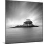 Rat Island 2-Moises Levy-Mounted Photographic Print