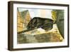 Rat Leaving a Ship-English School-Framed Giclee Print