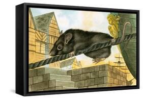 Rat Leaving a Ship-English School-Framed Stretched Canvas