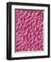 Rat Tongue-Micro Discovery-Framed Photographic Print