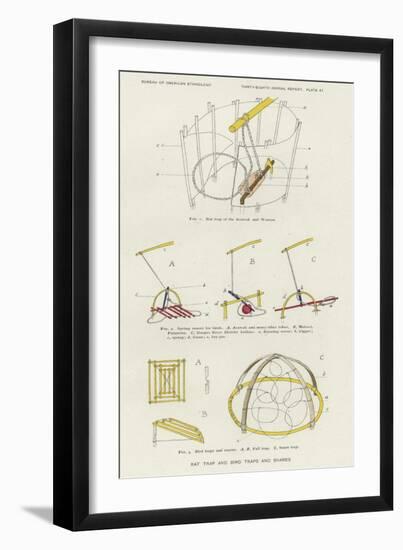 Rat Trap and Bird Traps and Snares-null-Framed Giclee Print