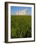 Ratcliffe Upon Soar Power Station, Nottinghamshire, England, UK-Neil Farrin-Framed Photographic Print