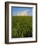 Ratcliffe Upon Soar Power Station, Nottinghamshire, England, UK-Neil Farrin-Framed Photographic Print