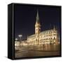 Rathaus (city hall) at Rathausmarkt place, Hamburg, Hanseatic City, Germany, Europe-Markus Lange-Framed Stretched Canvas