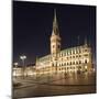 Rathaus (city hall) at Rathausmarkt place, Hamburg, Hanseatic City, Germany, Europe-Markus Lange-Mounted Photographic Print