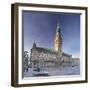 Rathaus (city hall) at Rathausmarkt place, Hamburg, Hanseatic City, Germany, Europe-Markus Lange-Framed Photographic Print