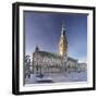 Rathaus (city hall) at Rathausmarkt place, Hamburg, Hanseatic City, Germany, Europe-Markus Lange-Framed Photographic Print