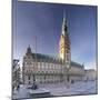 Rathaus (city hall) at Rathausmarkt place, Hamburg, Hanseatic City, Germany, Europe-Markus Lange-Mounted Photographic Print