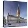 Rathaus (city hall) at Rathausmarkt place, Hamburg, Hanseatic City, Germany, Europe-Markus Lange-Stretched Canvas